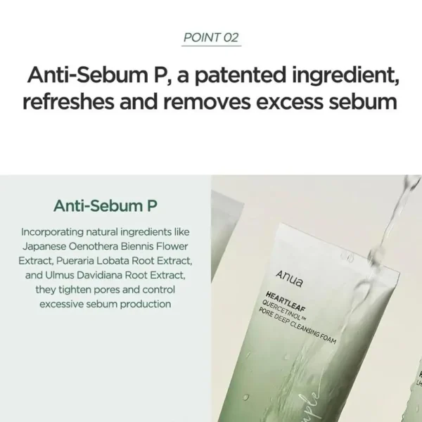 Heartleaf foam cleanser - Image 3