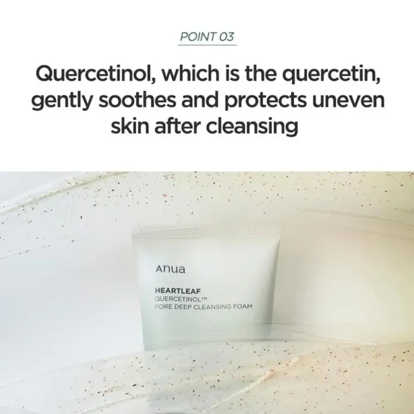 Heartleaf foam cleanser - Image 4